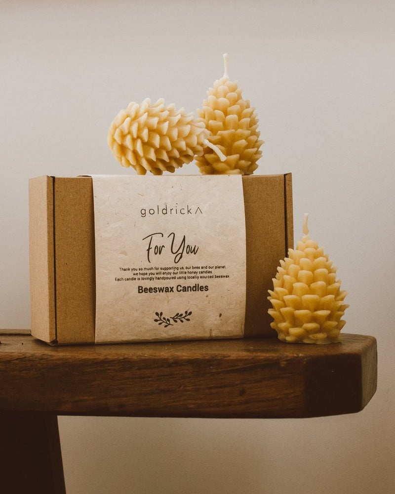 Pine Cone Candles | Beeswax Season Candles | Handmade